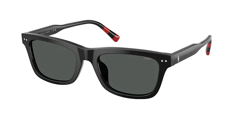 Occhiali da sole POLO PH4240U 500187