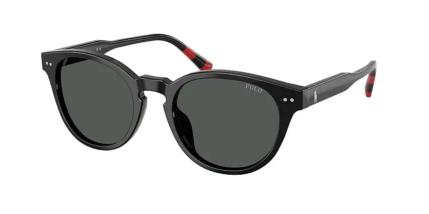 Occhiali da sole POLO PH4241U 500187