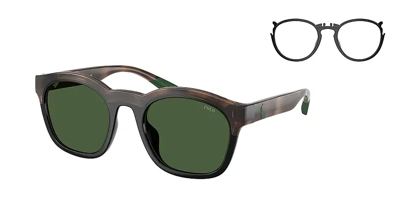Occhiali da sole POLO PH4243U 607071