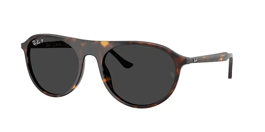 RAY-BAN SunglassesRB2215 902/48