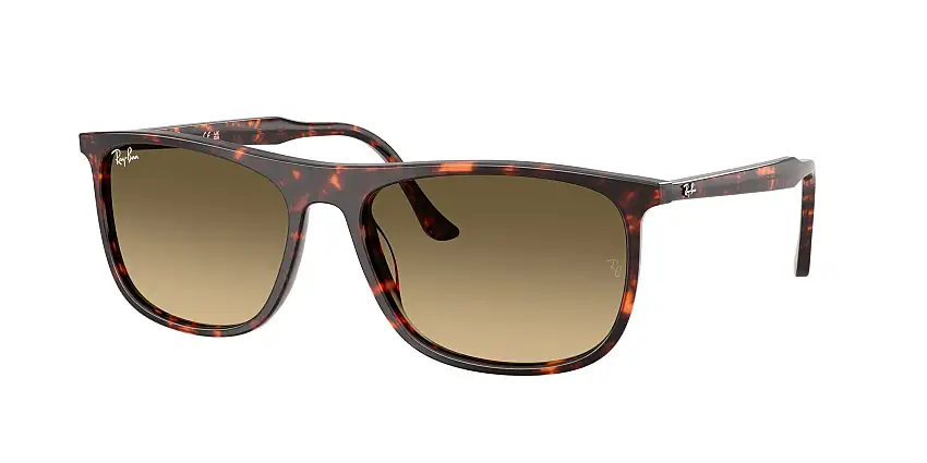RAY-BAN SunglassesRB2216 14290A