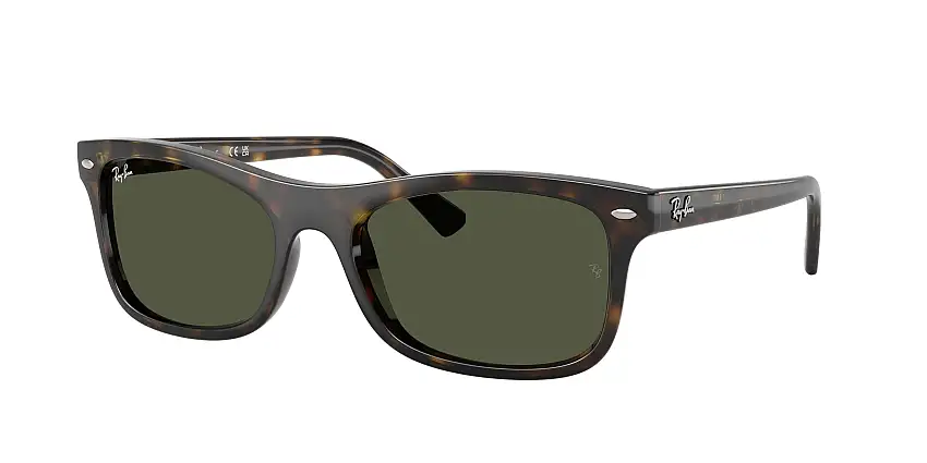 RAY-BAN SunglassesRB2226 710/31