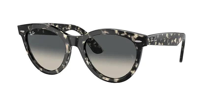 RAY-BAN WAYFARER WAY SunglassesRB2241 133371