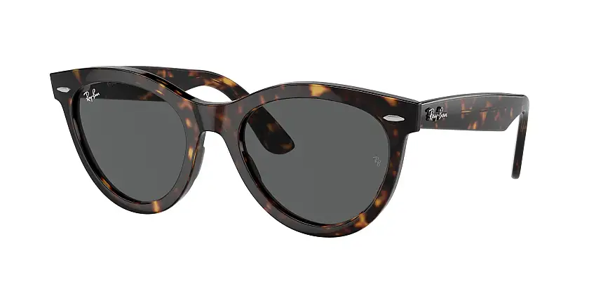 RAY-BAN WAYFARER WAY SunglassesRB2241 902/B1