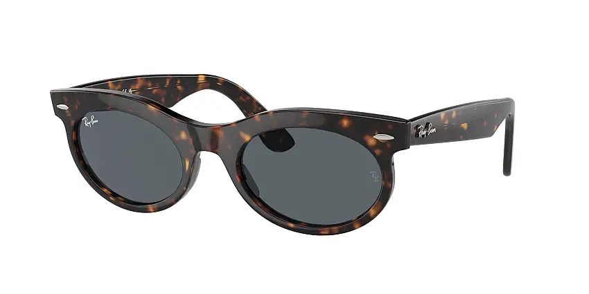 RAY-BAN WAYFARER OVAL SunglassesRB2242 902/R5
