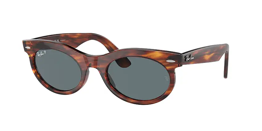 RAY-BAN WAYFARER OVAL SunglassesRB2242 954/3R