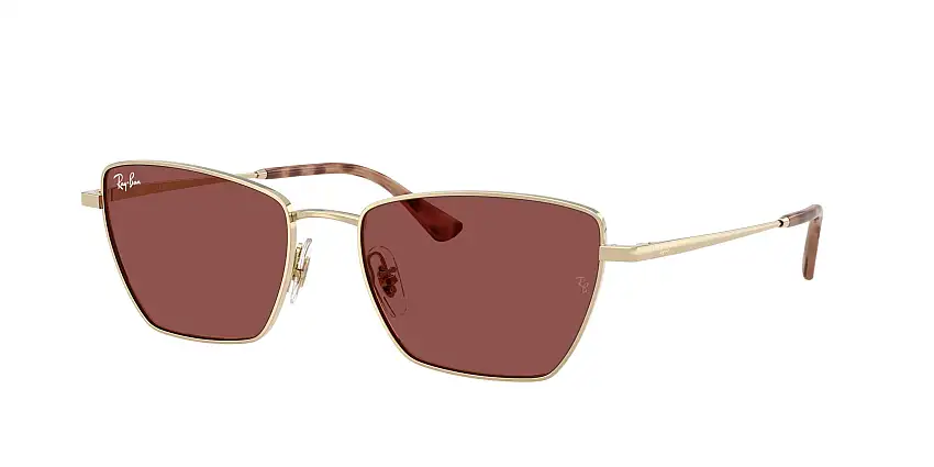 RAY-BAN SunglassesRB3783 921375