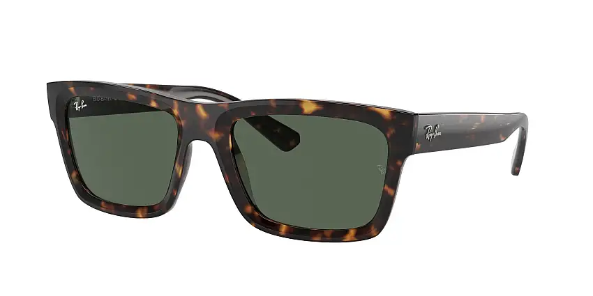 RAY-BAN WARREN SunglassesRB4396 135971