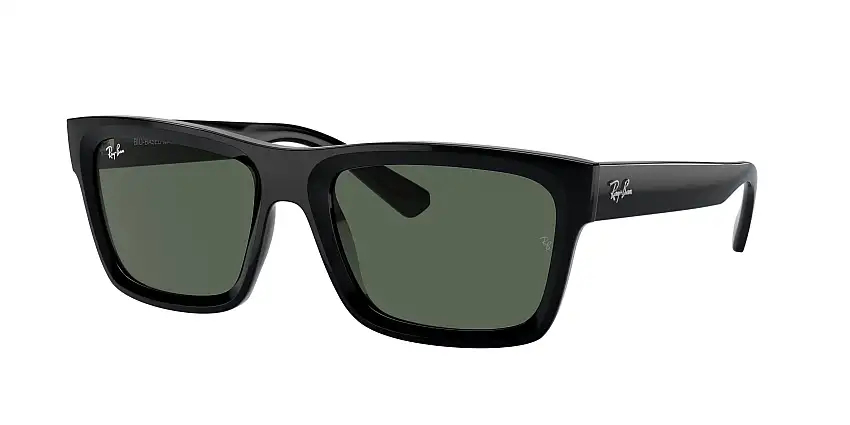 RAY-BAN WARREN SunglassesRB4396 667771
