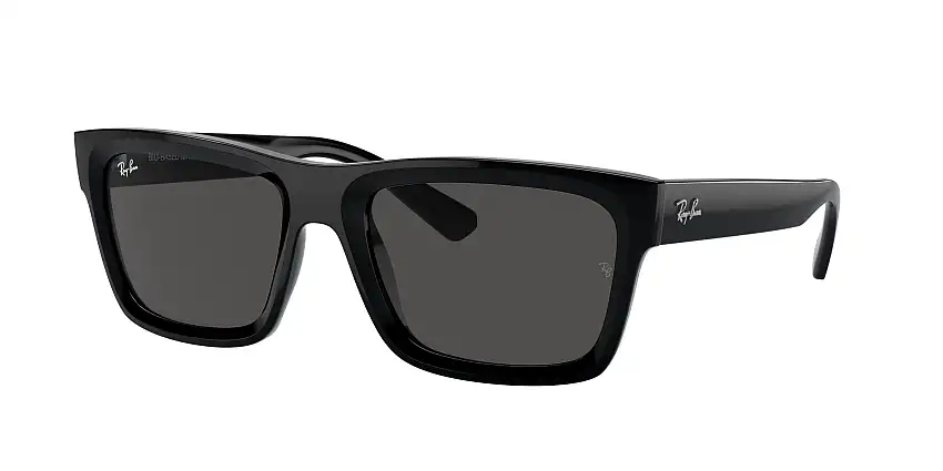 RAY-BAN WARREN SunglassesRB4396 667787