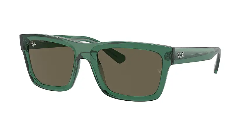 RAY-BAN WARREN SunglassesRB4396 6681/3