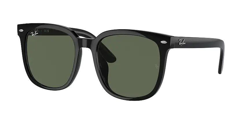 RAY-BAN SunglassesRB4401D 601/71