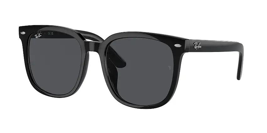RAY-BAN SunglassesRB4401D 601/87