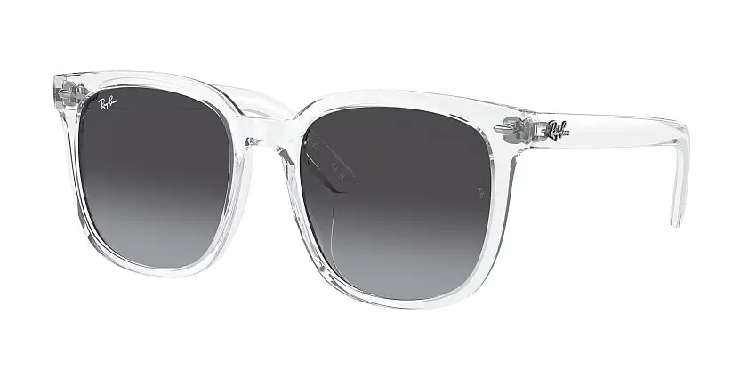 RAY-BAN SunglassesRB4401D 64478G