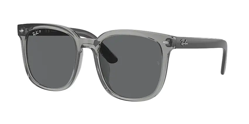 RAY-BAN SunglassesRB4401D 659981