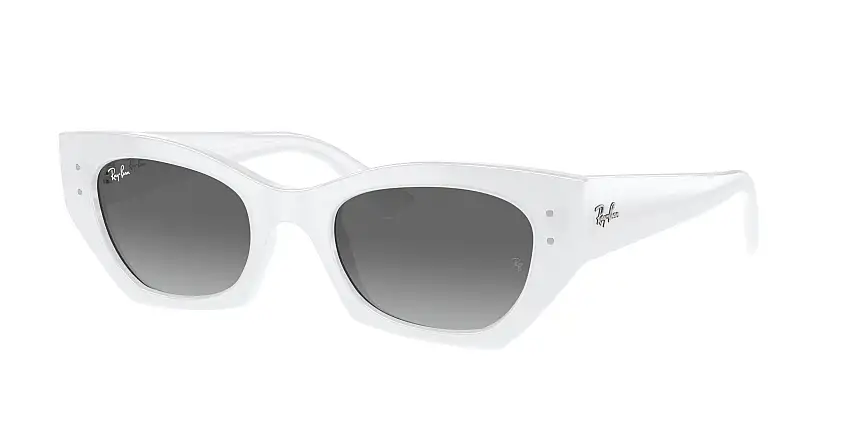 RAY-BAN ZENA SunglassesRB4430 675911
