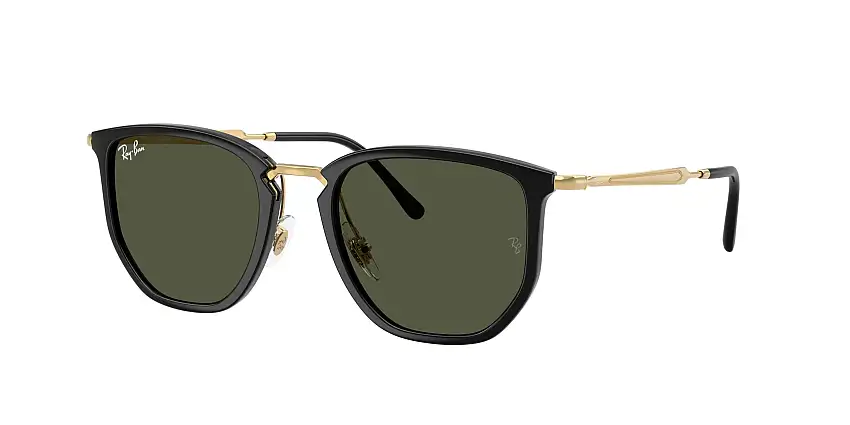 RAY-BAN SunglassesRB4451 630631