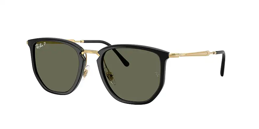 RAY-BAN SunglassesRB4451 630658