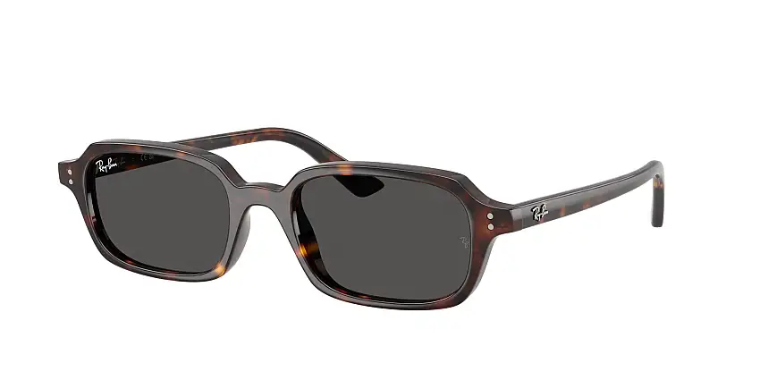 RAY-BAN ZURI SunglassesRB4455 135987