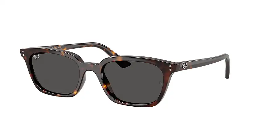 RAY-BAN ZAYA SunglassesRB4456 135987