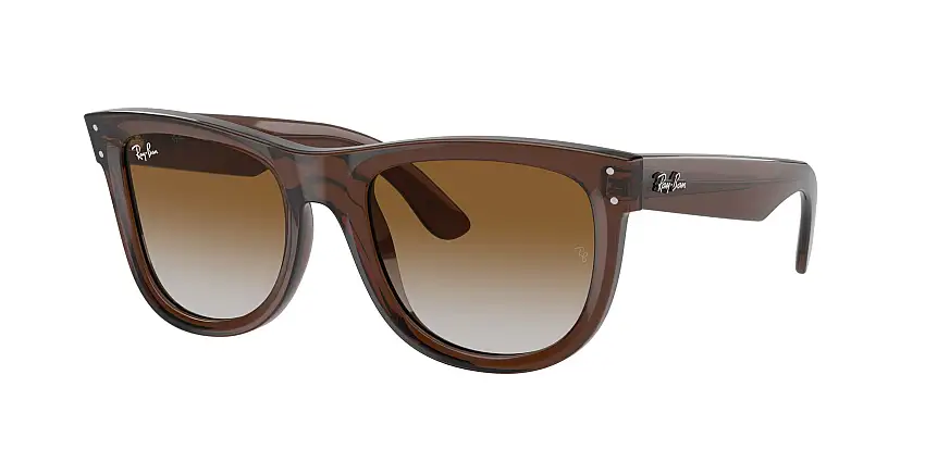 RAY-BAN WAYFARER REVERSE SunglassesRBR0502S 6709CB