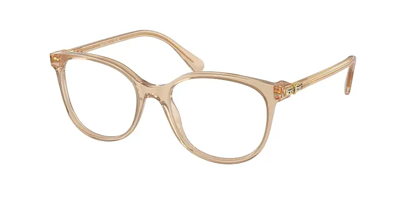 SWAROVSKI Prescription glassesSK2002 1034
