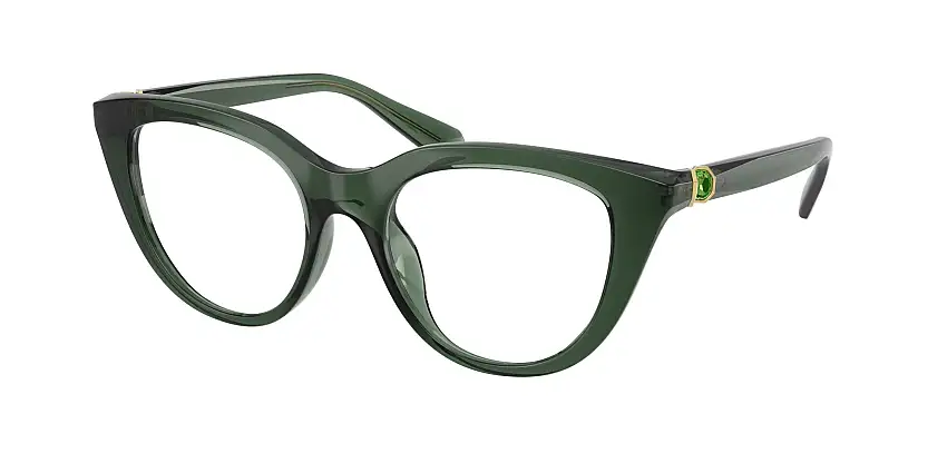 SWAROVSKI Prescription glassesSK2052 1043