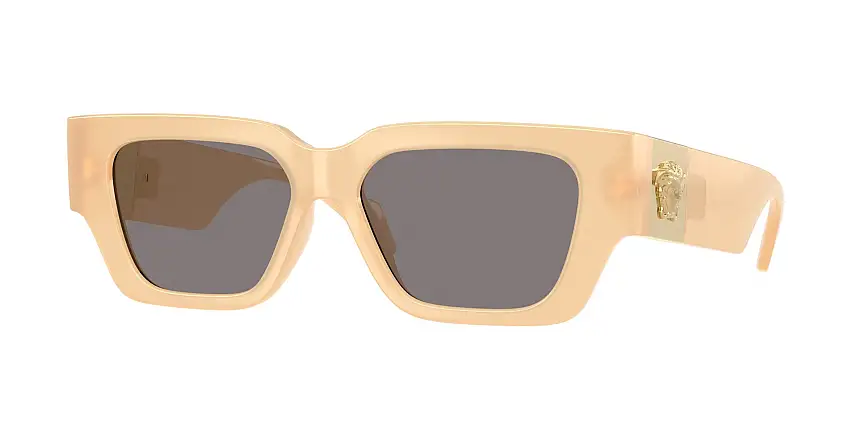 Occhiali da sole VERSACE VE4497U 554473