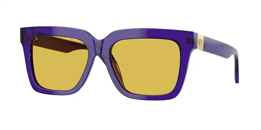 Occhiali da sole VERSACE VE4498 554585