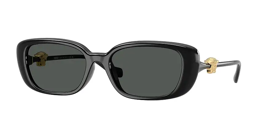 Occhiali da sole VERSACE VE4504D GB1/87