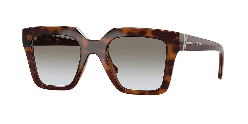 Occhiali da sole VOGUE EYEWEAR VO5690S 23868G