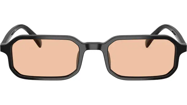 EA4253U 501793 Nero Lucido Occhiali da Sole
