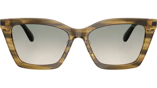 EA4250U 62672C Shiny Striped Green Occhiali da Sole