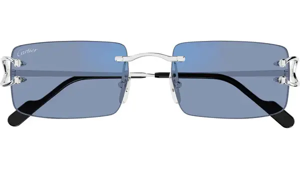 CT0488S 001 Argento Lucido Occhiali da Sole