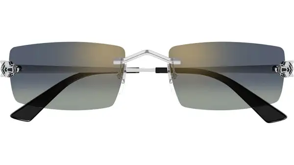 CT0598S 003 Argento Lucido Occhiali da Sole