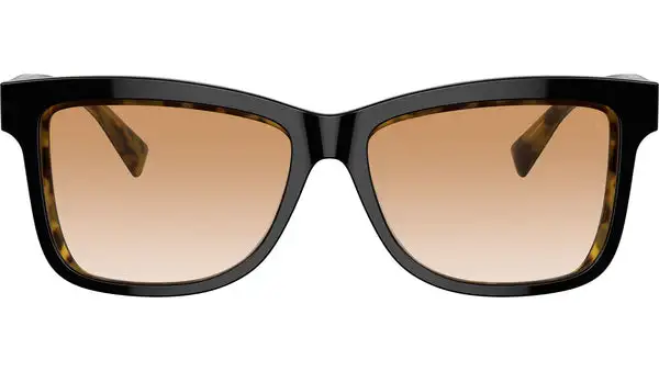 BC4009S 10173B Black On Havana