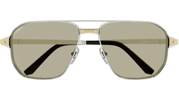 CT0424S 005 Argento Lucido Occhiali da Sole