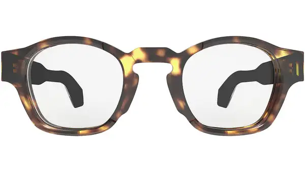 Purpose N473V Tortoise