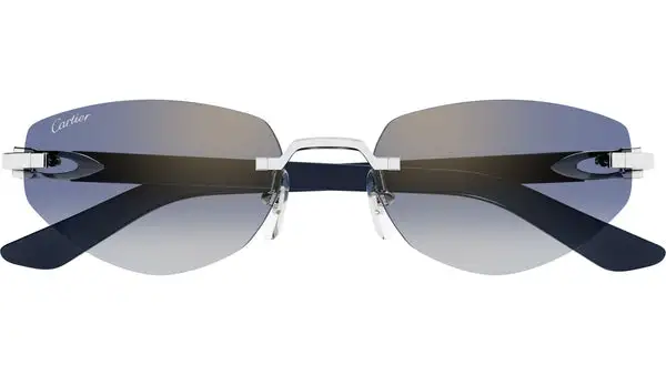CT0580S 004 Argento Lucido Occhiali da Sole