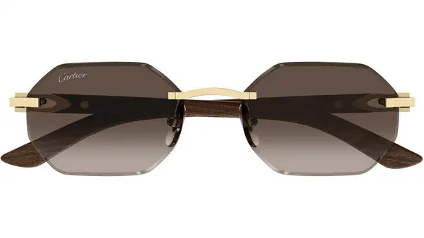 CT0439S 006 Oro Lucido Occhiali da Sole