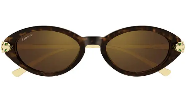 CT0634S 002 Avana Scuro Occhiali da Sole