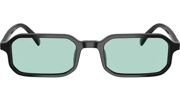 EA4253U 501765 Nero Lucido Occhiali da Sole