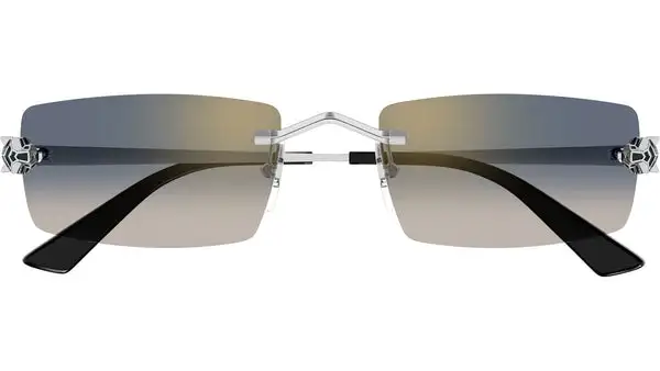CT0598S 002 Argento Lucido Occhiali da Sole