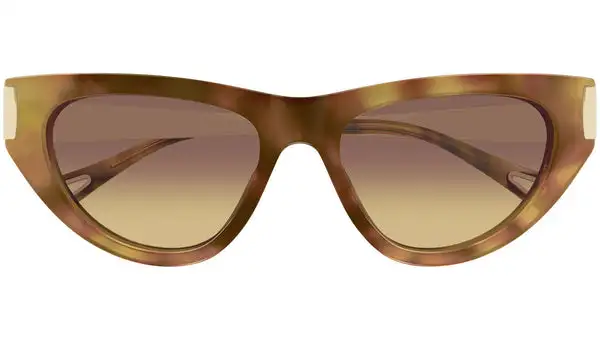 CH0350S 002 Avana Lucido Occhiali da Sole