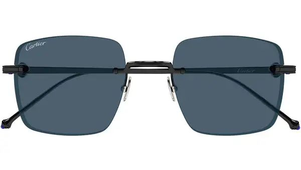 CT0403S 004 Nero Lucido Occhiali da Sole