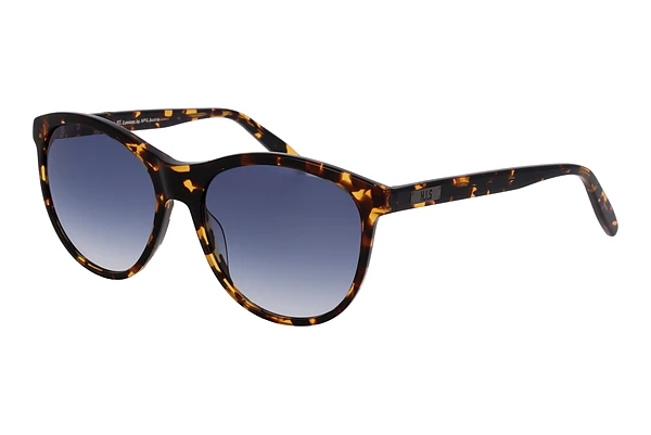 HIS Eyewear HS381 (001)