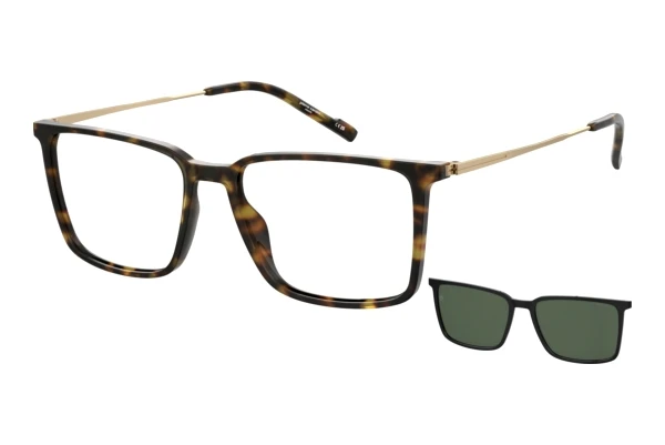 Pierre Cardin P.C. 6290/C (WR7)