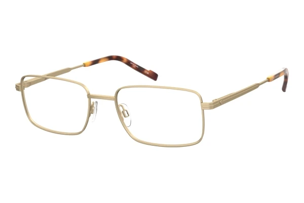 Pierre Cardin P.C. 6900 (AOZ)