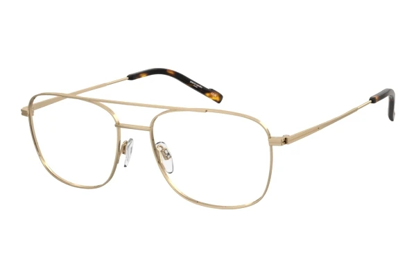 Pierre Cardin P.C. 6913 (J5G)