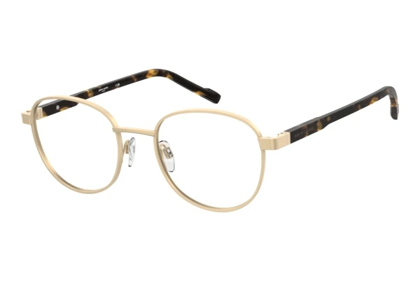 Pierre Cardin P.C. 6916 (AOZ)